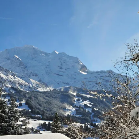 Eiger Apt-h By Interhome Wengen